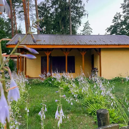 Lesna بيت للعطل Klebowo